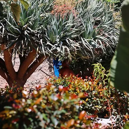 Old Fisherman's Corner 12 - Centro Old Town * Αλμπουφέιρα